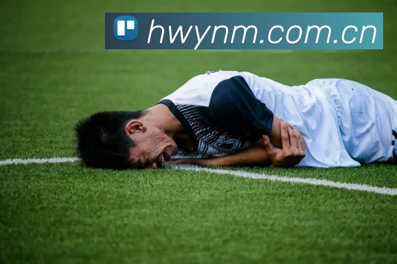 爱游戏入口发展历程