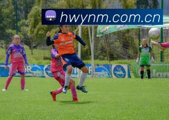 实时NBA数据追踪：今日赛场亮点与球星表现全记录